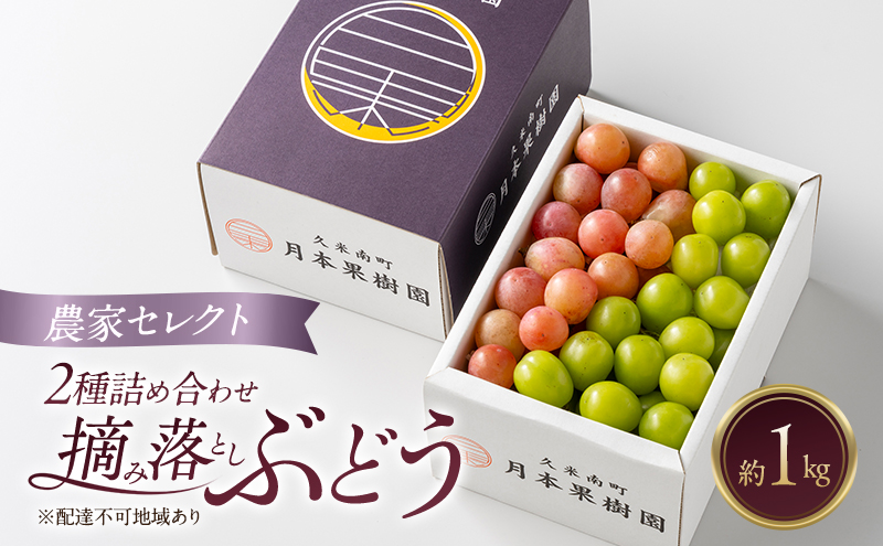 �y���R���������z���R���Y �E�ݗ��Ƃ��Ԃǂ� �_�ƃZ���N�g2��l�ߍ��킹 ��1kg ���� �u�h�E ���R���Y �I�[�����u���b�N �s�I�[�l �N�C�[���j�[�i �V���C���}�X�J�b�g ���ʌ���