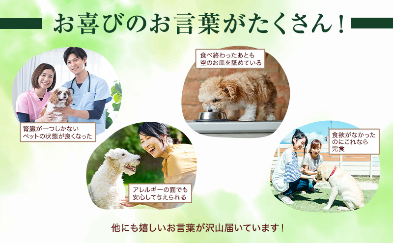 小諸産 KomoroPremium 鹿肉ウエットフード（栄養補助食）お試し5袋（100g/袋）