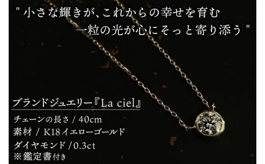 ネックレス K18 Diamond Drop necklace　【ネックレス 18金 ダイヤモンド イエローゴールド 鑑定書付き アクセサリー ギフト 高品質 ショップバック　ご褒美 茨城県 鹿嶋市】（KBD-61）