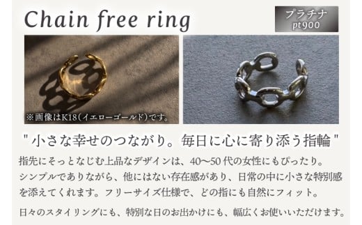 リング 指輪 Chain free ring Pt900 【Pt900 フリーリング アクセサリー ギフト ショップバック ご褒美 茨城県 鹿嶋市】（KBD-65）