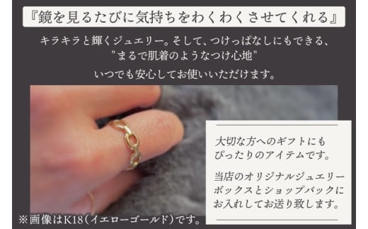 リング 指輪 Chain free ring Pt900 【Pt900 フリーリング アクセサリー ギフト ショップバック ご褒美 茨城県 鹿嶋市】（KBD-65）