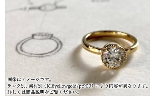 Éternelle ring -エテルネル リング (pt900 プラチナ) プレミアムプラン 【 ダイヤモンド リング 1カラット pt900 プラチナ アクセサリー ご褒美 茨城県 鹿嶋市 】 (KBD-70)