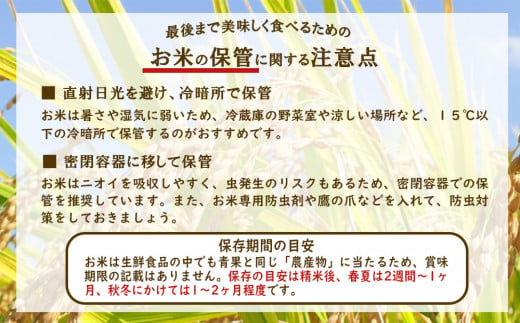 【令和7年度】限定品 えびの産 ヒノヒカリ 真幸米(まさきまい) 10kg (5kg×2袋) 米 ひのひかり お米 精米 白米 おにぎり お弁当 宮崎県産 九州産 送料無料 冷めても美味しい