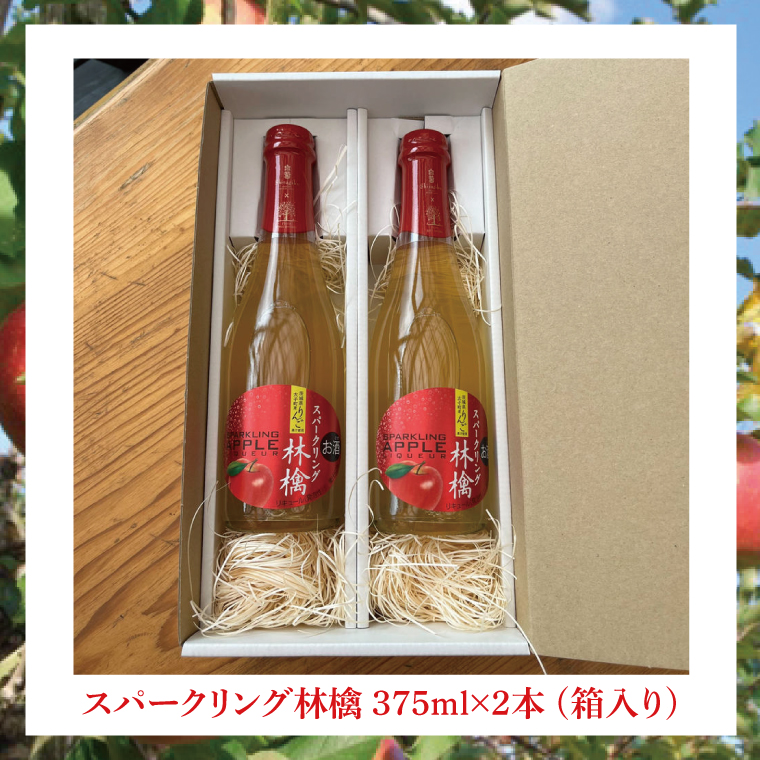 【藤田観光りんご園】スパークリング 林檎 375ml (箱入り)× 2本 セット 果汁50％ ふじりんご100％使用(BJ002)