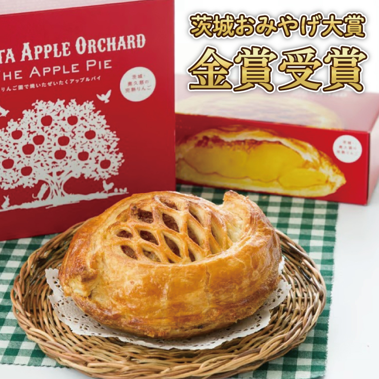 【藤田観光りんご園】りんご園で焼いた贅沢アップルパイ（ホールサイズ）(BJ001)