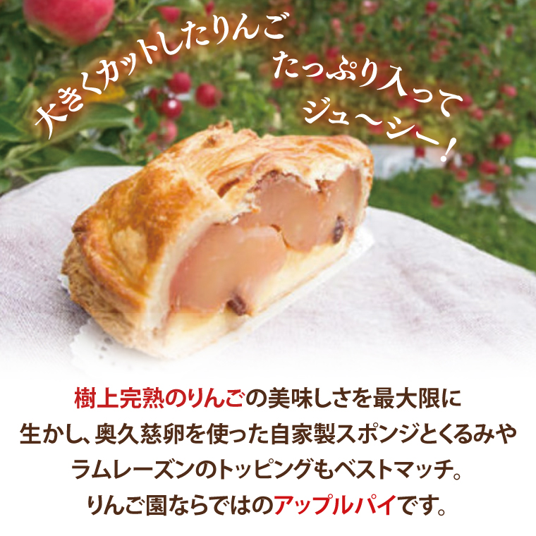 【藤田観光りんご園】りんご園で焼いた贅沢アップルパイ（ホールサイズ）(BJ001)