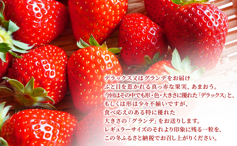 いちご 2パック 計約540g 博多あまおう デラックス グランデ セット 詰め合わせ おまおう 苺 イチゴ 果物 くだもの フルーツ 旬のフルーツ 季節の果物 福岡 福岡県 大刀洗町 お申込：2026年2月10日迄