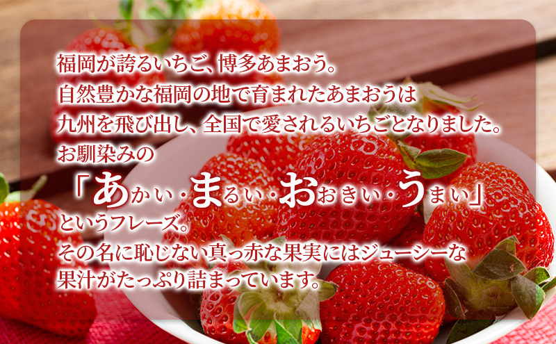 いちご 2パック 計約540g 博多あまおう デラックス グランデ セット 詰め合わせ おまおう 苺 イチゴ 果物 くだもの フルーツ 旬のフルーツ 季節の果物 福岡 福岡県 大刀洗町 お申込：2026年1月25日迄