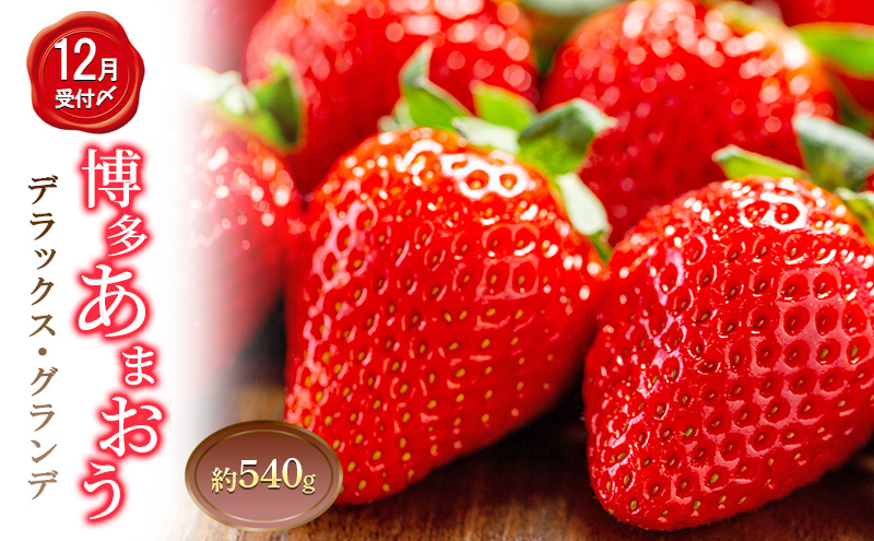 y品z 2pbN v540g ܂ fbNX Of Zbg lߍ킹 ܂  C`S ʕ  t[c {̃t[c G߂̉ʕ   品 \F2025N12