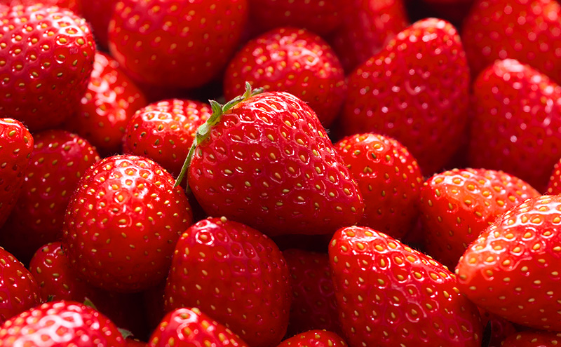 いちご 2パック 計約540g 博多あまおう デラックス グランデ セット 詰め合わせ おまおう 苺 イチゴ 果物 くだもの フルーツ 旬のフルーツ 季節の果物 福岡 福岡県 大刀洗町 お申込：2025年12月末迄