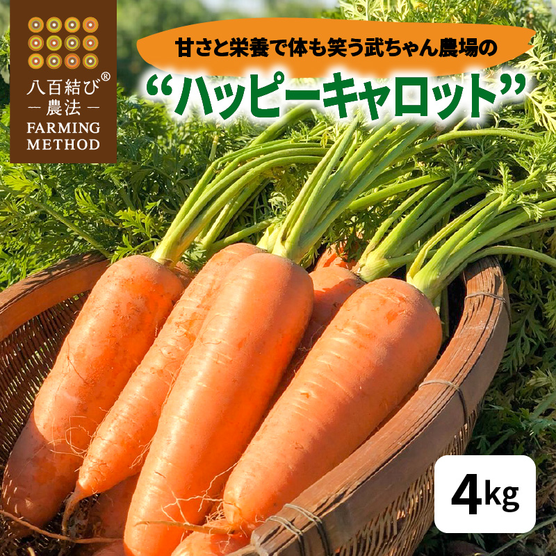 愛知県碧南市のふるさと納税 甘さと栄養で体も笑う武ちゃん農場の“ハッピーキャロット 4kg　H095-021