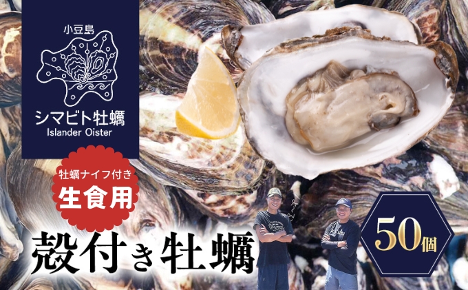【 小豆島 】小豆島産 シマビト牡蠣 生食用殻付き牡蠣 50個 牡蠣 カキ 生牡蠣 生食用 殻付き シマビト 香川県