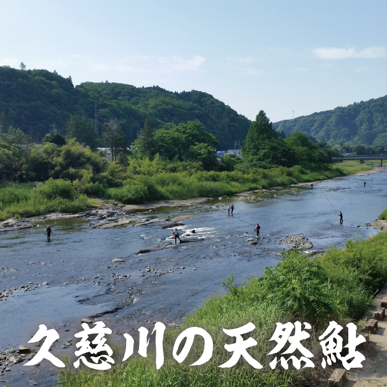 天然 鮎の開き 約10枚前後｜茨城県 大子町 清流 久慈川 川魚 魚 天然鮎 あゆ アユ 一夜干し 冷凍（AJ004）