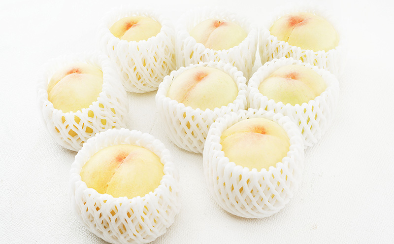 桃 2026年 先行予約 白桃 8玉（1玉200g以上）化粧箱入り もも モモ 岡山県産 国産 フルーツ 果物 ギフト 透き通る 白い 柔らかい 果汁 きめ細やか 恵み 知恵 情熱 贈り物