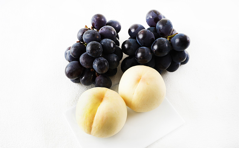 桃 ぶどう 2026年 先行予約 果物詰合せ 白桃 2玉（1玉200g以上） ニュー ピオーネ 2房（合計約940g）化粧箱入り 岡山県産 国産 フルーツ 果物 ギフト  贈り物 セット