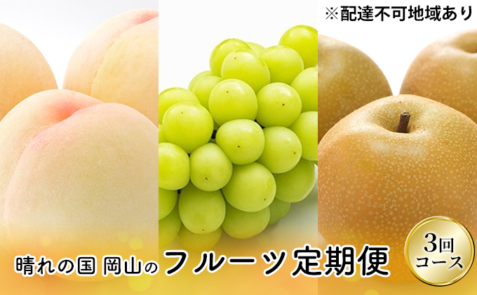 �y���R�������s�z�t���[�c 2026�N ��s�\�� ����̍� ���R �� �t���[�c ����� 3��R�[�X �� �Ԃǂ� �� ���R���Y ���Y �t���[�c �ʕ� �M�t�g �}�X�J�b�g ���� ���� �Ȃ� ���y����