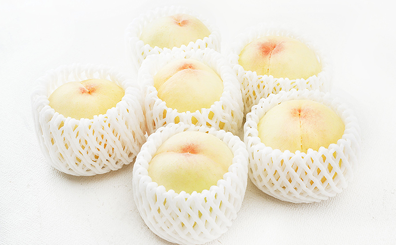 フルーツ 2026年 先行予約 晴れの国 岡山 の フルーツ 定期便 2回コース 桃 ぶどう 岡山県産 国産 フルーツ 果物 ギフト マスカット もも モモ お楽しみ 高級ぶどう