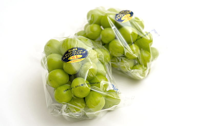 フルーツ 2026年 先行予約 晴れの国 岡山 の フルーツ 定期便 2回コース 桃 ぶどう 岡山県産 国産 フルーツ 果物 ギフト マスカット もも モモ お楽しみ 高級ぶどう