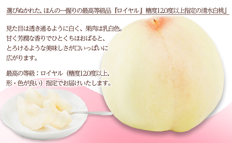 桃 2026年 先行予約 清水 白桃 8玉 （1玉200g以上） 等級：ロイヤル 化粧箱入り もも モモ 岡山県産 国産 フルーツ 果物 ギフト 贈答品 糖度12.0度以上