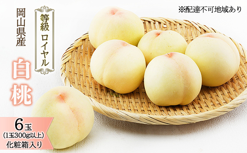 �y���R�������s�z�� 2026�N ��s�\�� ���� 6�� �i1��300g�ȏ�j �����F���C���� ���ϔ����� ���� ���� ���R���Y ���Y �t���[�c �ʕ� �M�t�g �����i ���x12.0�x�ȏ�