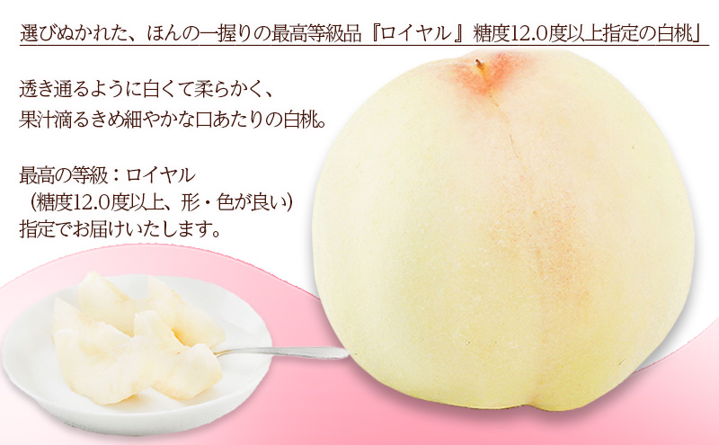 桃 2026年 先行予約 白桃 8玉 （1玉200g以上） 等級：ロイヤル 化粧箱入り もも モモ 岡山県産 国産 フルーツ 果物 ギフト 贈答品 糖度12.0度以上