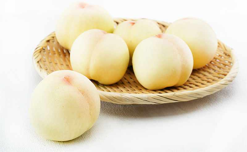 桃 定期便 2026年 先行予約 晴れの国 岡山 の 白桃 ×2回 お届け 1回目 白桃 6玉（1玉250g以上）／2回目 白桃 6玉（1玉300g以上） 化粧箱入り もも モモ 岡山産 国産 フルーツ 果物 ギフト