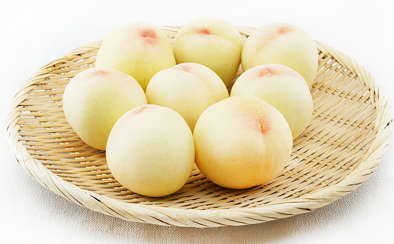 桃 2026年 先行予約 清水 白桃 8玉 （1玉200g以上）化粧箱入り もも モモ 岡山県産 国産 フルーツ 果物 ギフト 最高級 贈答品 贈り物