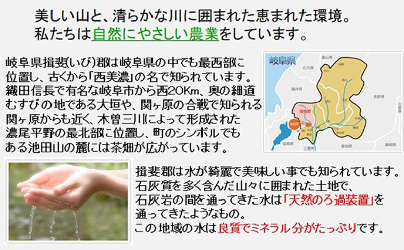 特別栽培米★[定期便] 4カ月★毎月 玄米10kg【こしひかり】 お米 ブランド米 銘柄米 ご飯 バランスが良い お米の王様