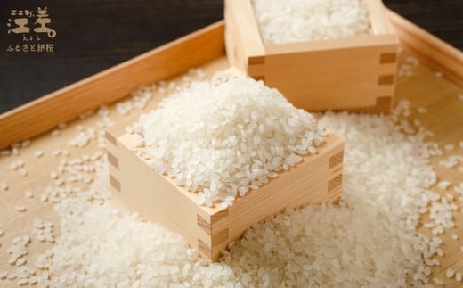 北海道江差町のふるさと納税 【数量・期間限定受付】《定期便5か月》契約農家栽培 江差追分米『ふっくりんこ』【5kg×5回】令和7年産　2025年産　北海道江差町産　北海道米　白米　精米　お米　おこめ　こめ　ご飯　ごはん　農家直送　単一原料米　ブランド米　ふっくら食感、ここちよい甘さ