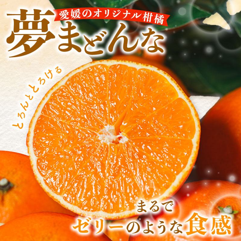 【訳あり】みかん職人の夢まどんな 3kg 柑橘 果物 フルーツ 愛媛 みかん職人武田屋 蜜柑 愛果28号 愛媛果試第28号 まどんな 大小ミックスサイズ 糖度 センサー 計測 規準 甘い 甘さ らんきんぐ みかん かんきつ 柑橘 冬 旬 食べごろ 農家 農家直送 農園 人気 みかん職人 武田屋 産直 みかん職人武田屋 愛媛県 愛南町