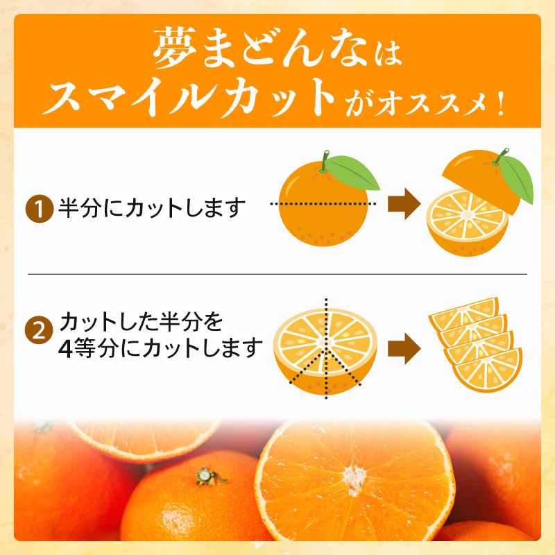 【訳あり】みかん職人の夢まどんな 3kg 柑橘 果物 フルーツ 愛媛 みかん職人武田屋 蜜柑 愛果28号 愛媛果試第28号 まどんな 大小ミックスサイズ 糖度 センサー 計測 規準 甘い 甘さ らんきんぐ みかん かんきつ 柑橘 冬 旬 食べごろ 農家 農家直送 農園 人気 みかん職人 武田屋 産直 みかん職人武田屋 愛媛県 愛南町