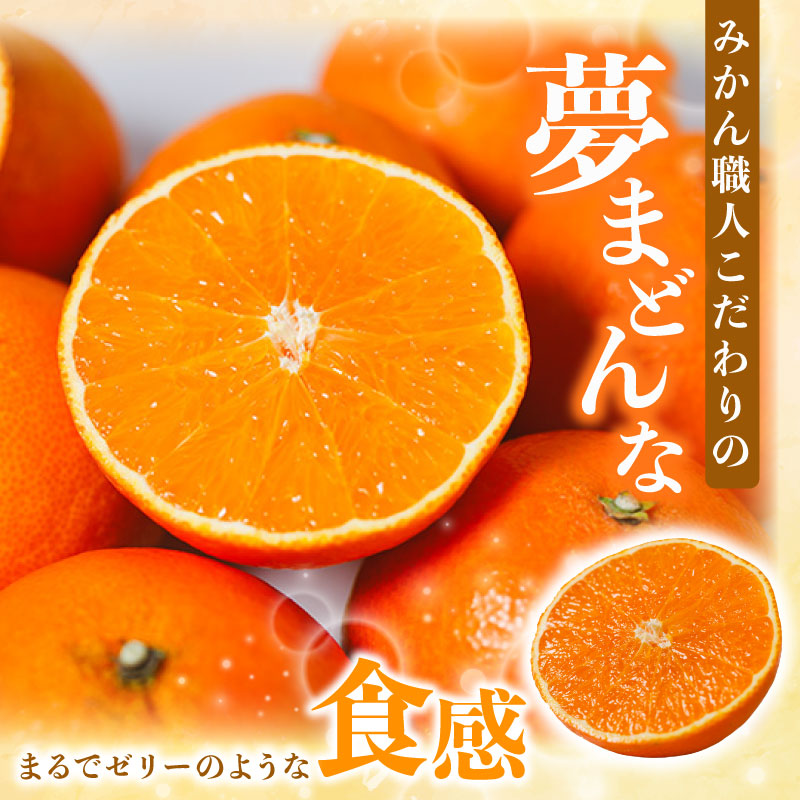 【訳あり】みかん職人の夢まどんな 小玉 5kg 柑橘 果物 フルーツ 愛媛 みかん職人武田屋 蜜柑 愛果28号 愛媛果試第28号 まどんな 大小ミックスサイズ 糖度 センサー 計測 規準 甘い 甘さ らんきんぐ みかん かんきつ 柑橘 冬 旬 食べごろ 農家 農家直送 農園 人気 みかん職人 武田屋 産直 みかん職人武田屋 愛媛県 愛南町