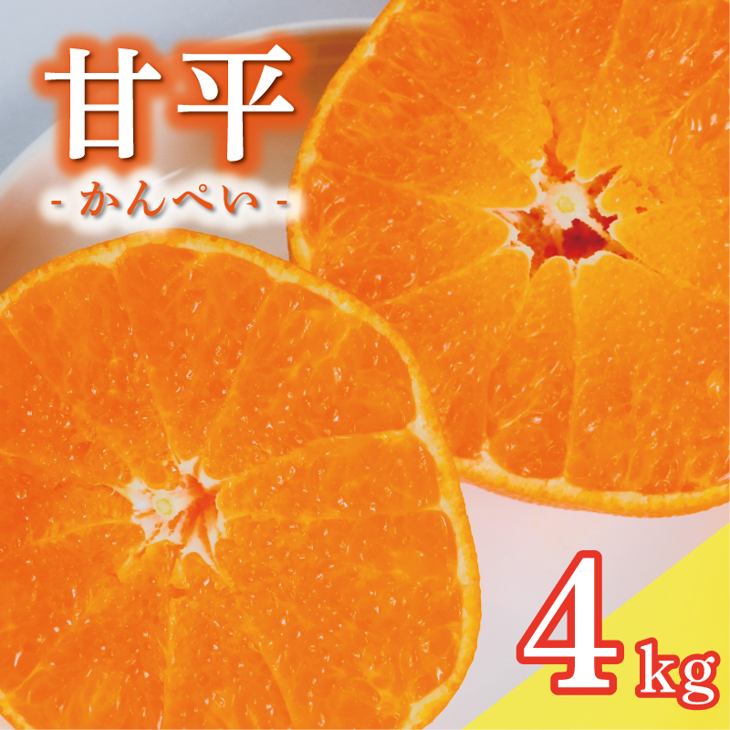 yQ쒬zʌ s\ Õ 4kg 15000~ ؂  lC uh v~A Yn _ƒ Q ݂ mikan  ~J Y Ԍ Yi t[c ʕ k Â   Mtg v[g  ݂̎R 쒬 Q