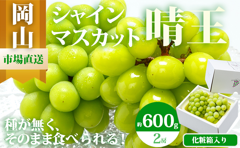 ぶどう 2026年 先行予約 シャイン マスカット 晴王 2房 （1房 600g以上） 化粧箱入り マスカット ブドウ 葡萄  岡山県産 国産 フルーツ 果物 ギフト 高級ぶどう 大粒 種なし 贈答品