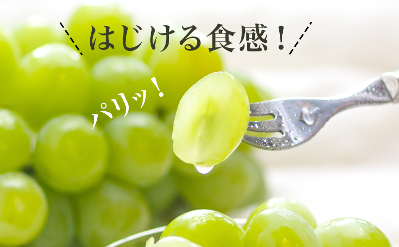 ぶどう 2026年 先行予約 シャイン マスカット 晴王 4房（1房480g以上）約2kg マスカット 岡山県産 国産 フルーツ 果物 ギフト 上品な香り 高級ぶどう 高級シャインマスカット 大粒 種なし 皮ごと