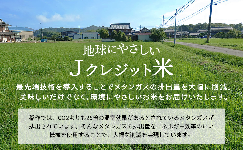 【令和8年産 先行受付】しきゆたか 白米 10kg《2027年2月発送》