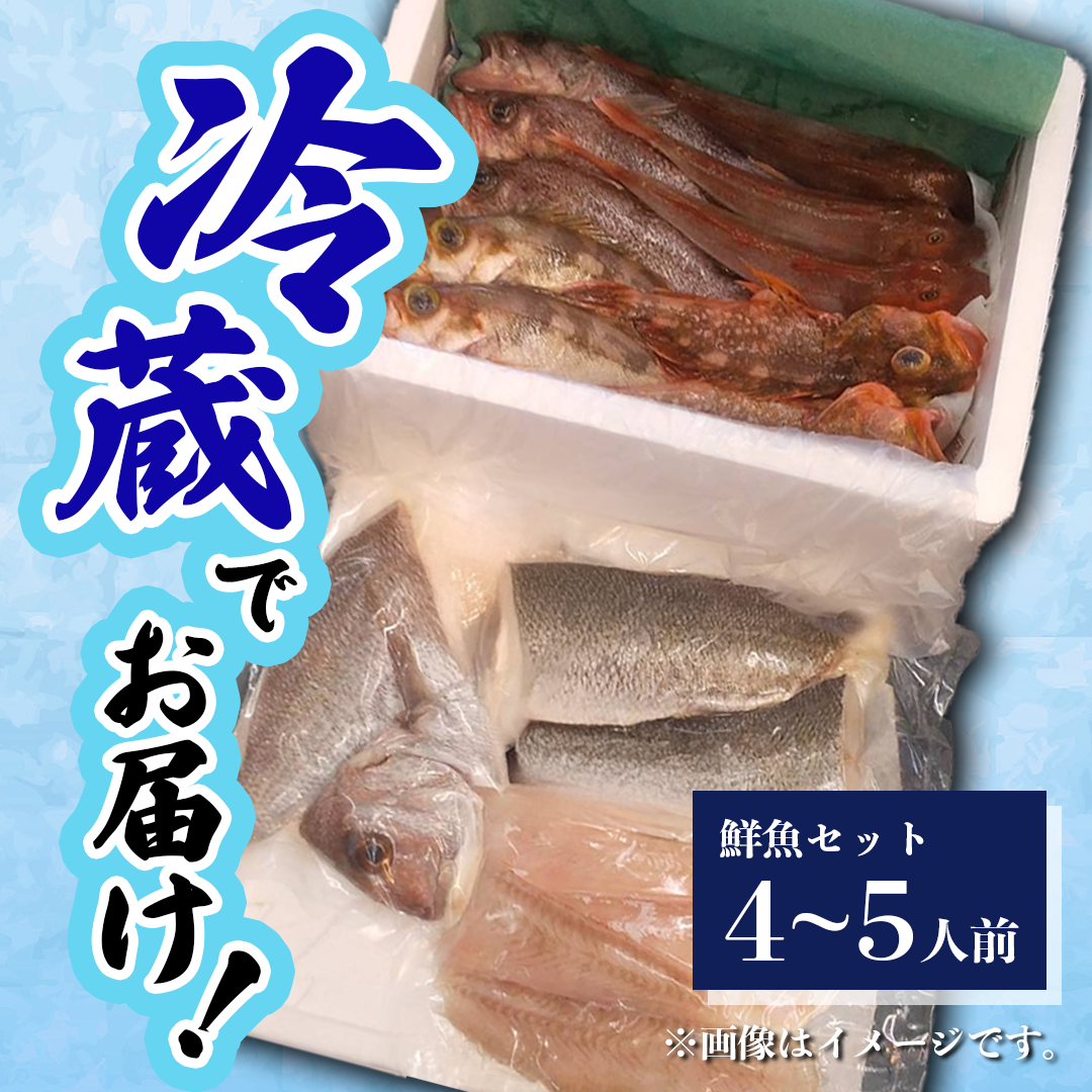 鮮魚 冷蔵 クール便「 開けたらすぐ食べられる下処理済み 海産物 4～5人前 セット 」佐藤鮮魚店【 パック 詰め合わせ 海鮮セット 鮮魚ボックス 海鮮 海の幸 魚介 魚介類 刺身 切り身  秋田県 にかほ 】