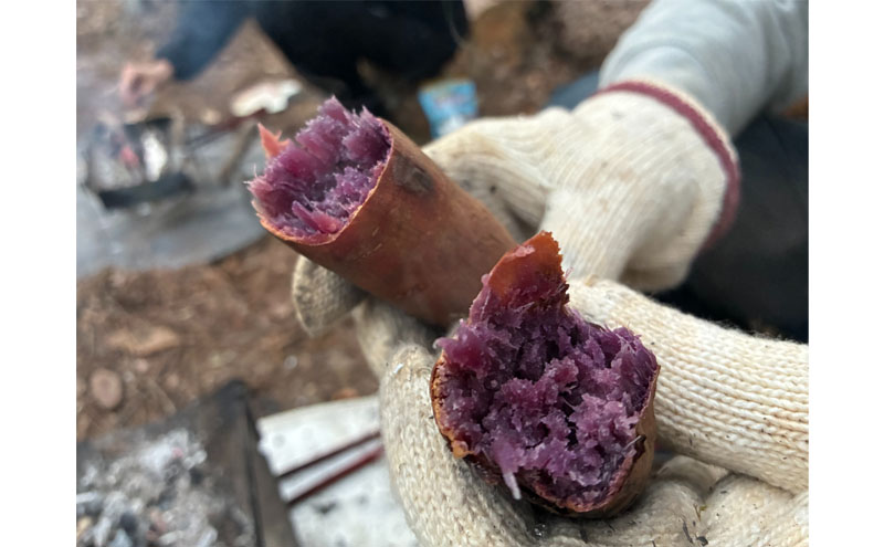 癒しの森で焚き火と焼き芋体験（1名様分）～「町に近い森」がある小諸にて　体験 チケット 自然 リフレッシュ