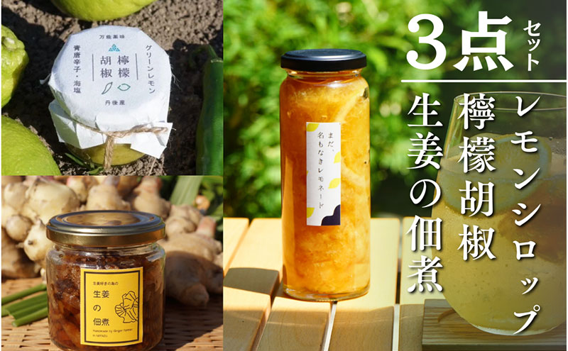 百章3点セット（檸檬胡椒・レモンシロップ・生姜の佃煮）　レモン れもん 調味料 スパイス 薬味 レモネード 佃煮 詰め合わせ 京都府 宮津市