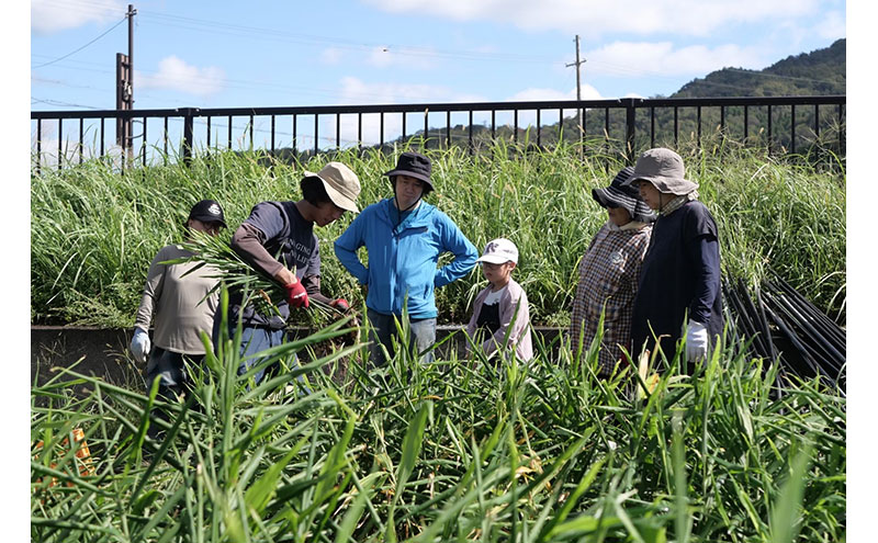 百章3点セット（檸檬胡椒・レモンシロップ・生姜の佃煮）　レモン れもん 調味料 スパイス 薬味 レモネード 佃煮 詰め合わせ 京都府 宮津市