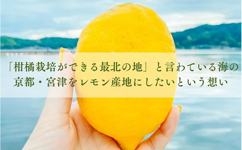 檸檬胡椒　70g　レモン れもん 調味料 スパイス 薬味 京都府 宮津市