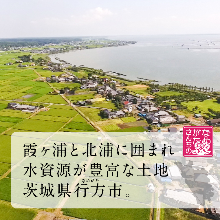 茨城県産コシヒカリ使用 パックごはん(もち麦) 160g×18食｜コシヒカリ こしひかり もち麦 パックご飯 パックごはん 備蓄 防災備蓄 簡単 茨城県産 茨城県 行方市 人気 送料無料(HE-5)