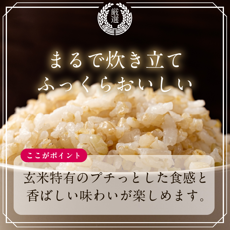 【2025年12月下旬より順次発送】茨城県産コシヒカリ使用 パックごはん(玄米) 160g×18食｜コシヒカリ こしひかり 玄米 パックご飯 パックごはん 備蓄 防災備蓄 簡単 茨城県産 茨城県 行方市 人気 送料無料(HE-6)