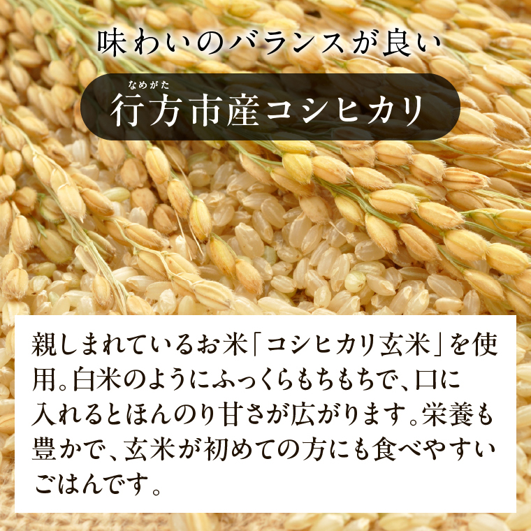 【2025年12月下旬より順次発送】茨城県産コシヒカリ使用 パックごはん(玄米) 160g×18食｜コシヒカリ こしひかり 玄米 パックご飯 パックごはん 備蓄 防災備蓄 簡単 茨城県産 茨城県 行方市 人気 送料無料(HE-6)