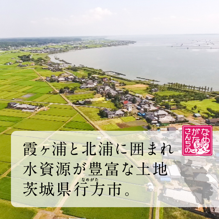 【2025年12月下旬より順次発送】茨城県産コシヒカリ使用 パックごはん(玄米) 160g×18食｜コシヒカリ こしひかり 玄米 パックご飯 パックごはん 備蓄 防災備蓄 簡単 茨城県産 茨城県 行方市 人気 送料無料(HE-6)