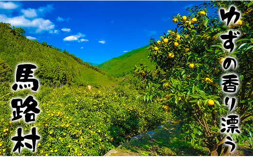 【のーがえいぽん酢/360ml×1本】ポン酢 ぽん酢 ゆずポン酢 ゆずぽん酢 だしポン酢 調味料 ユズ 柚子 出汁 ダシ 贈答用 ギフト お歳暮 お中元 母の日 父の日 のし 熨斗 有機 オーガニック ドレッシング 鍋 水炊き 高知県馬路村 【498】