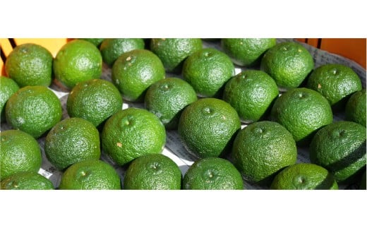  青オニゆずこしょう　52g×2本　柚子胡椒 ゆず胡椒 辛い 香辛料 唐辛子 からし スパイス 無添加 オーガニック 有機  お歳暮 お中元 母の日 父の日 ギフト 熨斗 のし 高知県 馬路村