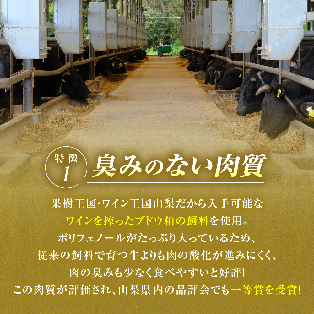山梨県甲斐市のふるさと納税 【甲州ワインビーフ モモブロック】小林牧場　人気　おすすめ　国産　贈答　ギフト　お取り寄せ　肉　牛肉　甲州ワインビーフ　山梨県　高級　ジューシー　とろける　旨味　赤身　ローストビーフ