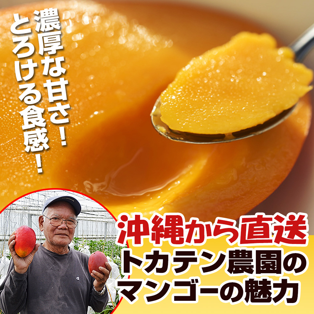 沖縄県南風原町のふるさと納税 【2026年発送】濃厚な甘さの沖縄県産マンゴー2kg（家庭用）