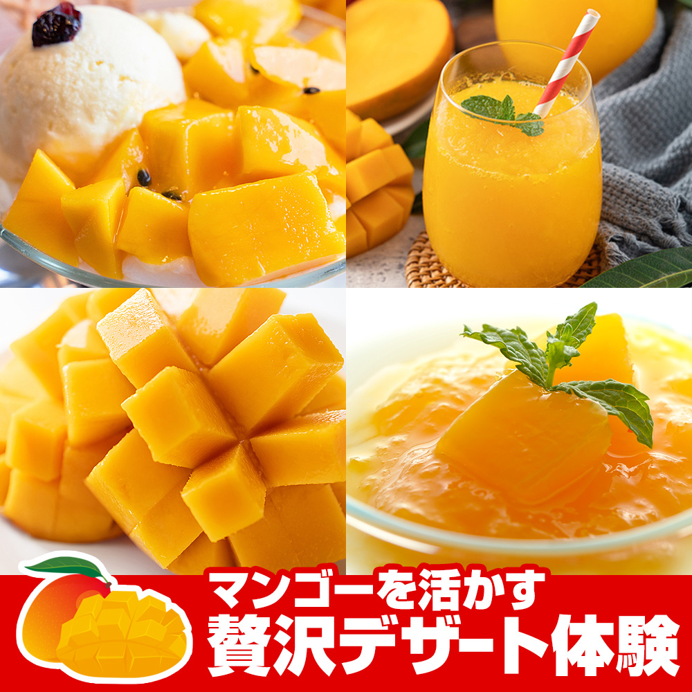 沖縄県南風原町のふるさと納税 【2026年発送】すみれ農園のアーウィンマンゴー家庭用1.5kg